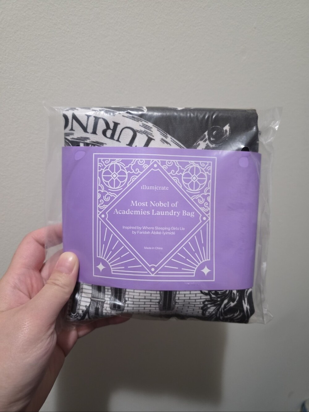 3/$20 Illumicrate Laundry Bag